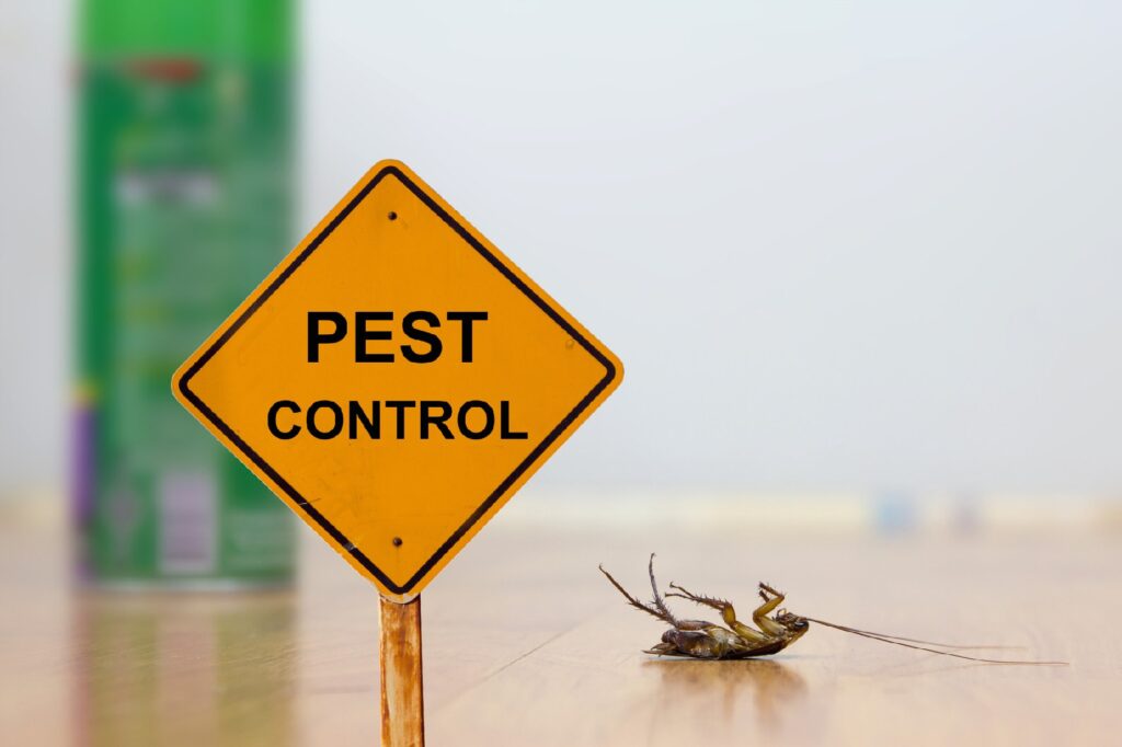 Cockroach Pest Control