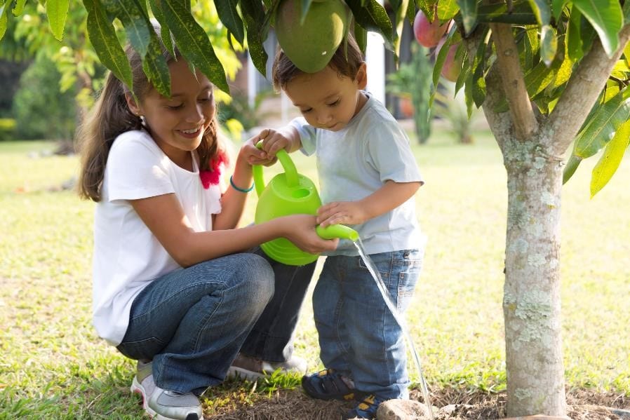 Affordable Tree Trimming Services In Albuquerque