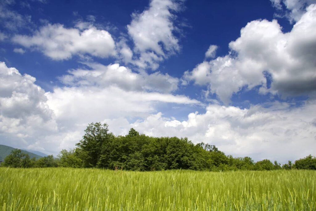 We Buy Land In Utah For Cash